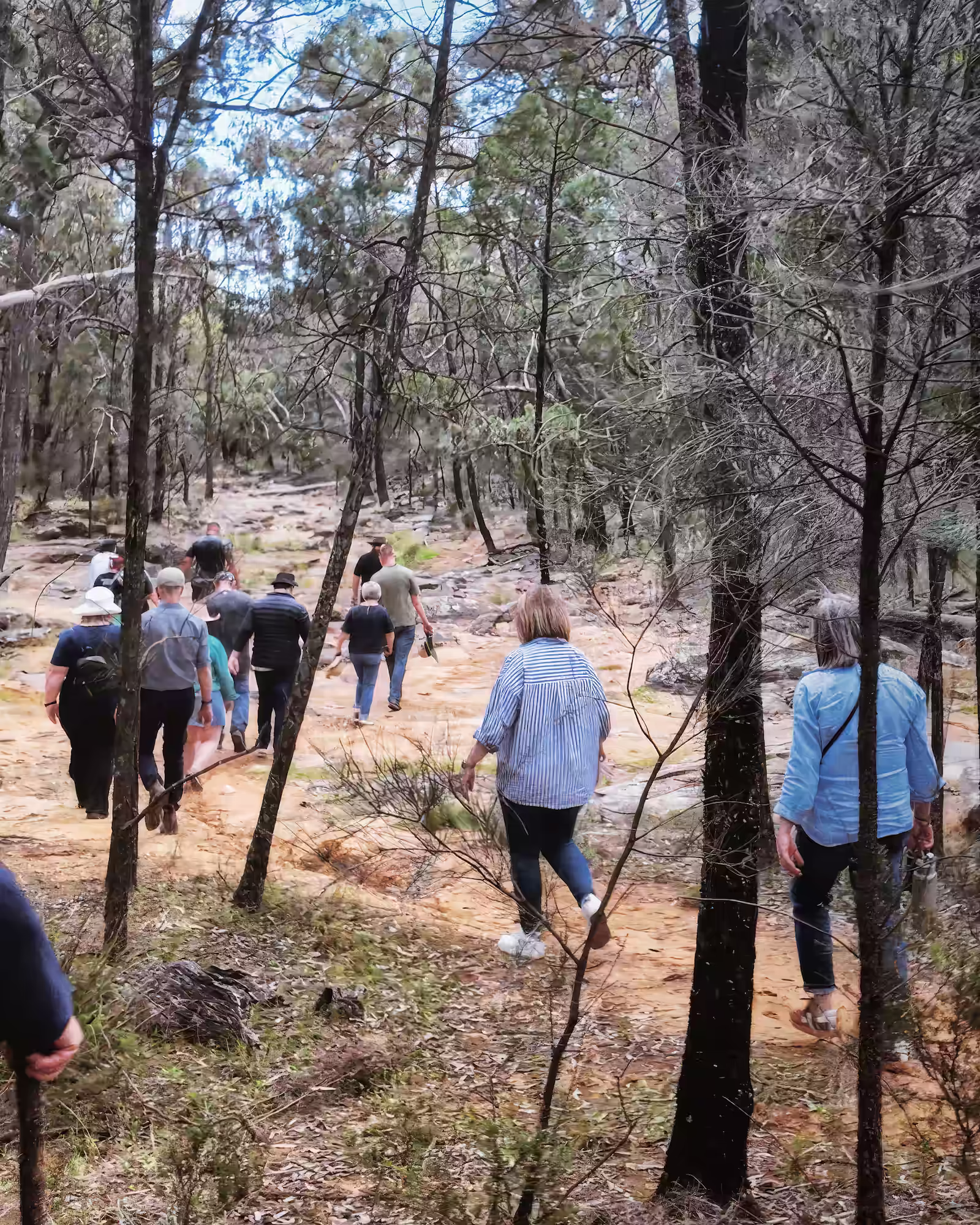 Dinawan's Connection — walking together in the bush on Country