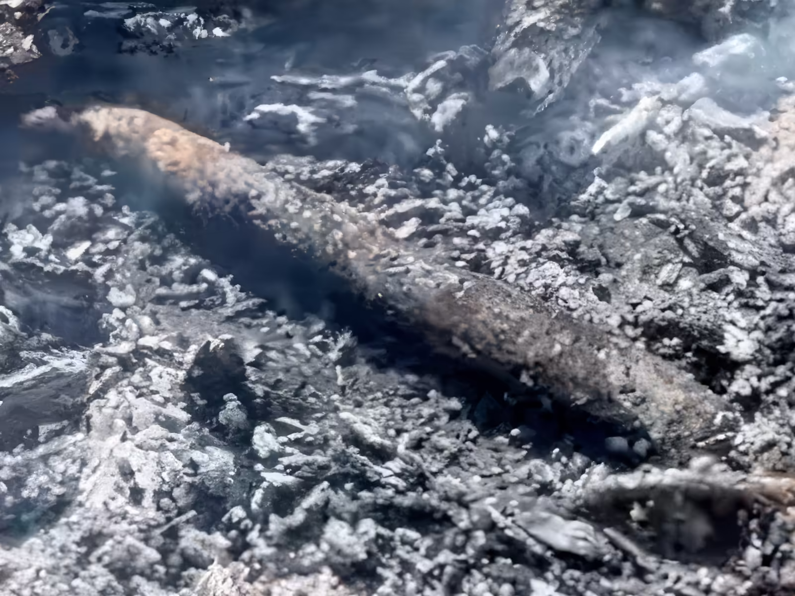 Kangaroo tail cooking on the coals — cultural approaches to preparing natural foods