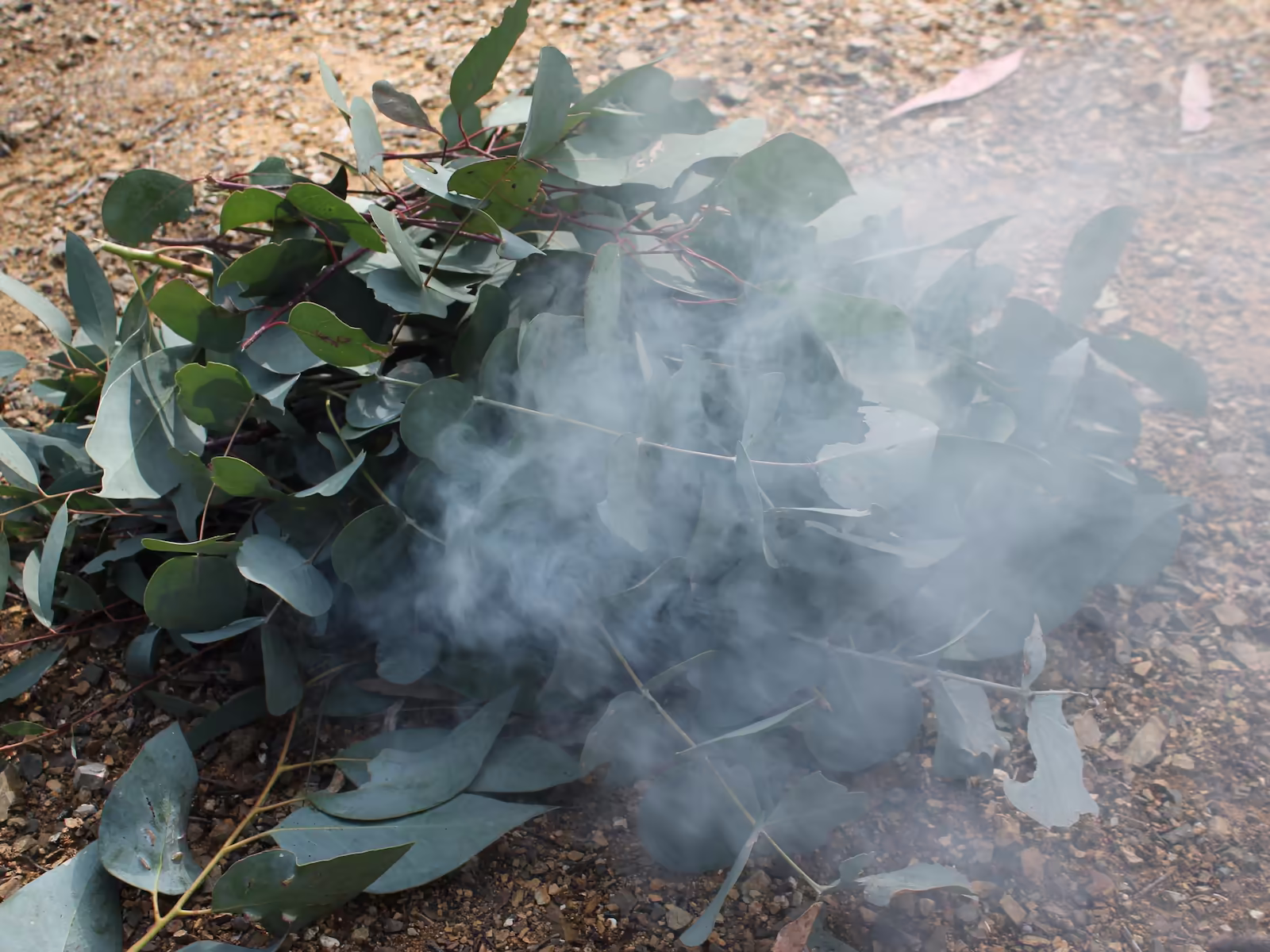 A smoking ceremony — shared cultural experiences that foster respect and connection