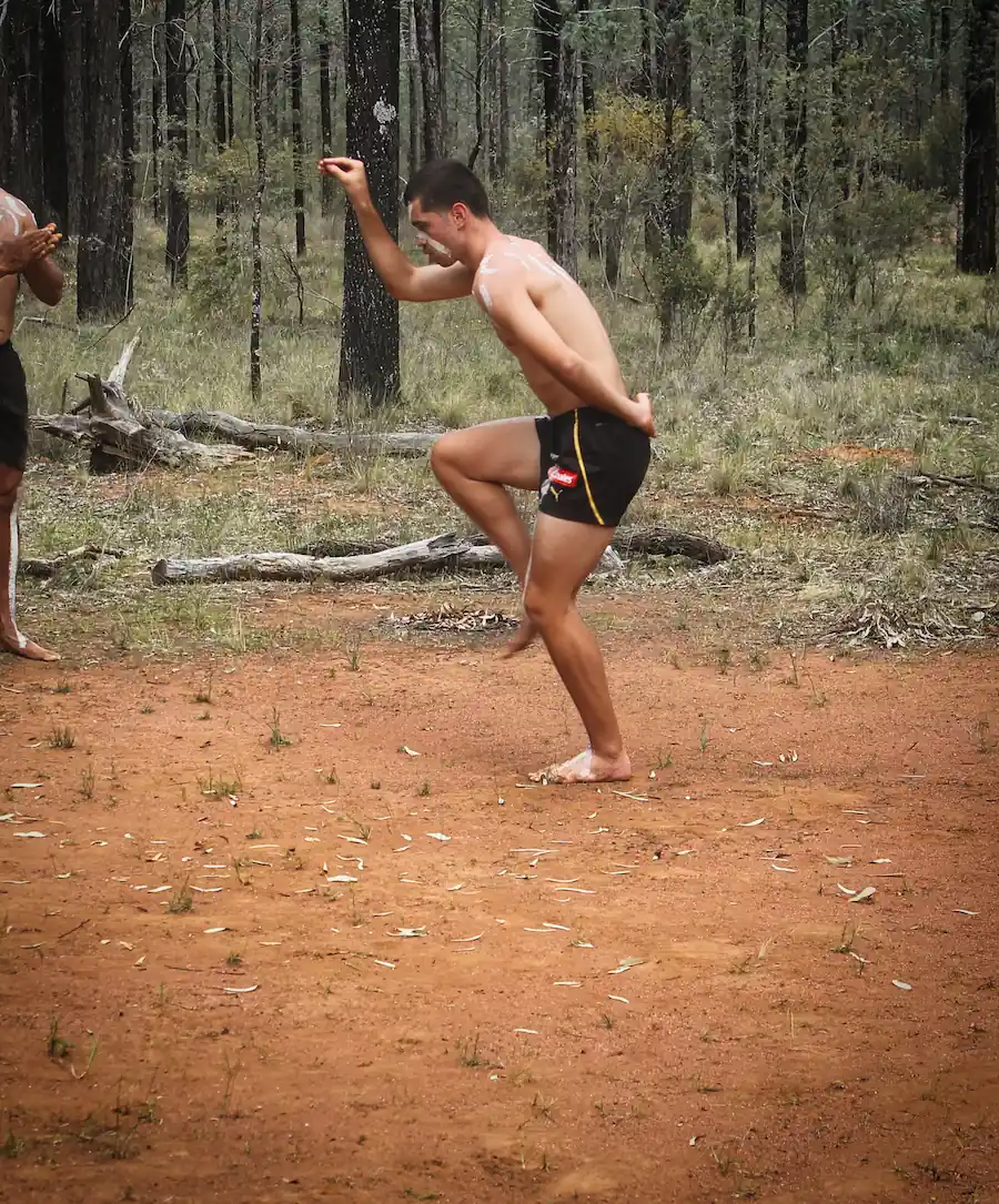 Dance — traditional and contemporary performance