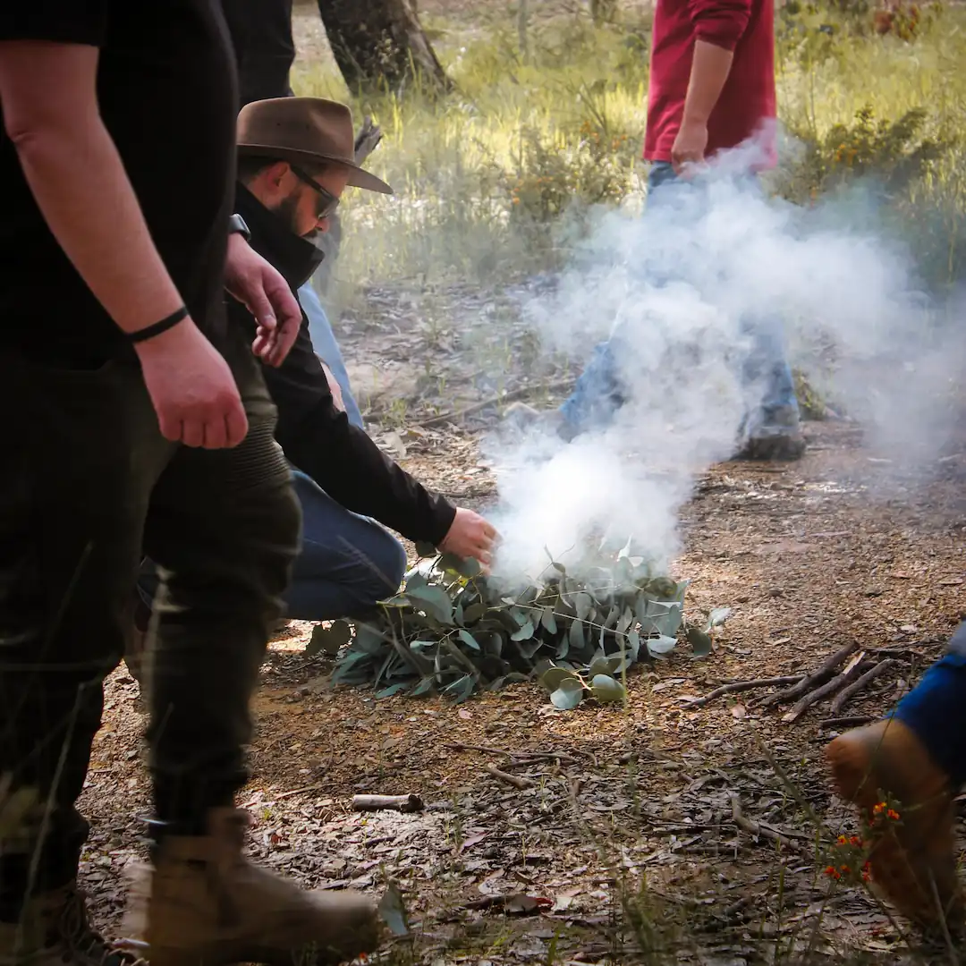 Performances — live cultural events